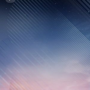 Meet your Posher, Mattie